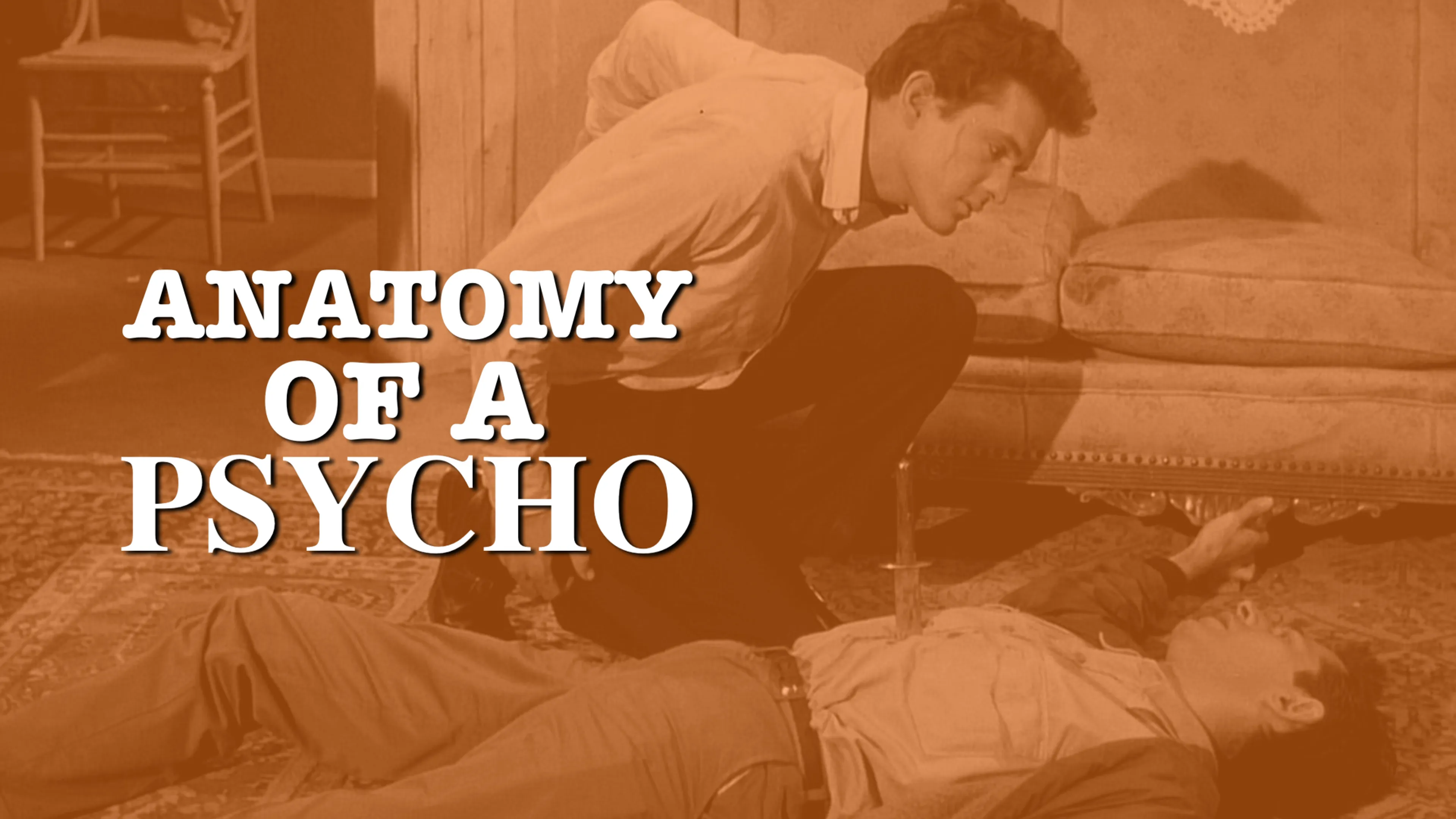 Anatomy Of A Psycho poster